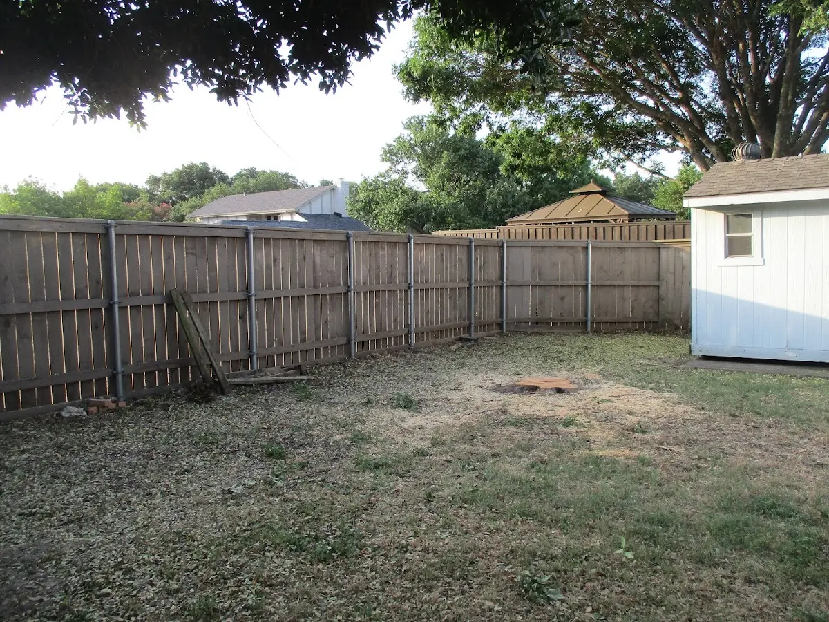 Cleared yard after professional tree removal in Evansville