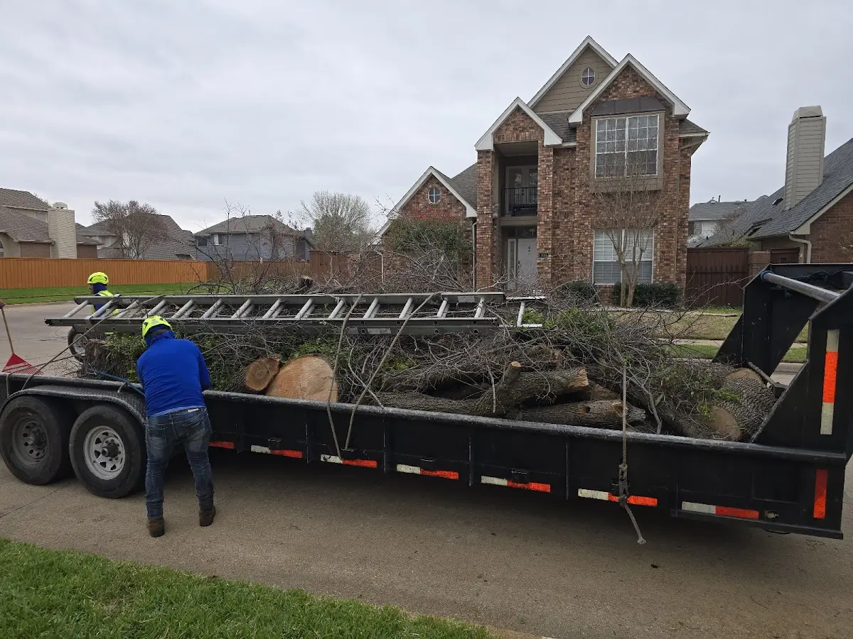 Expert Tree Removal with proper safety equipment in Evansville